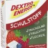 Dextro Energy Schulstoff Waldfrucht